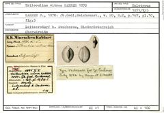 Karteikarte zum Holotyp von Triloculina vitrea Karrer, 1870